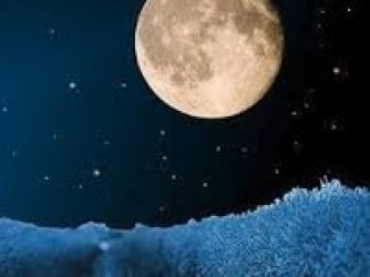 noite